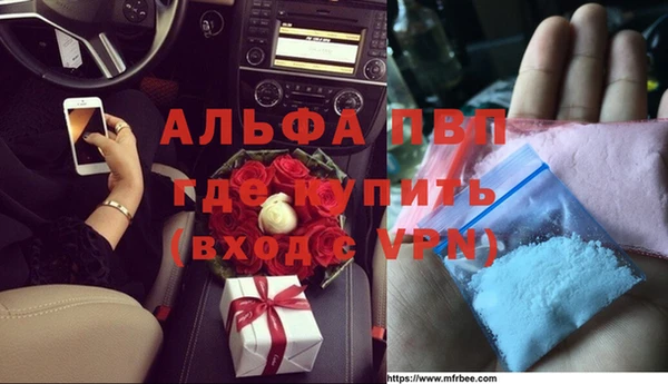 тгк Новодвинск