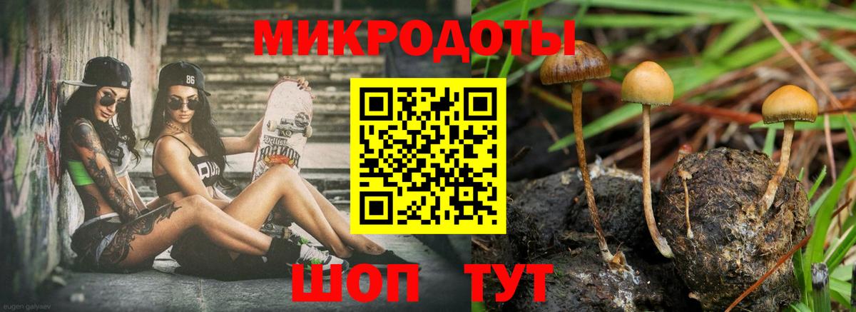 Галлюциногенные грибы мухоморы  Вход с VPN  Старая Русса  Галлюциногенные грибы ЛСД 
